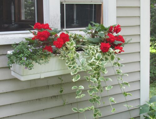 Poem by Susan Isla Tepper