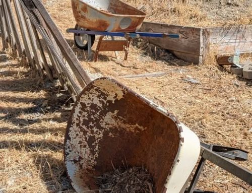 Poem by Susan Isla Tepper