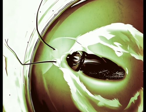 Poem by David M. Alper