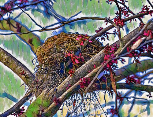 Poem by Russell Thorburn