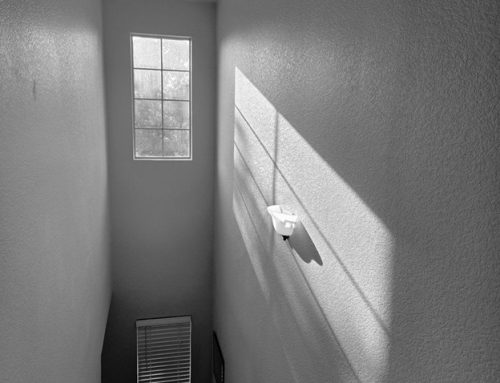 Poem by Jennifer Gurney