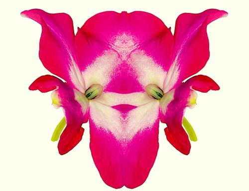 Poem by Aryan Kaganof