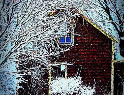 Poem by Susan Isla Tepper