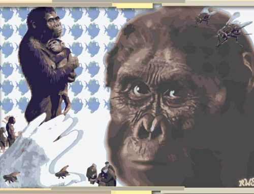 Essay by Steven David Justin Sills