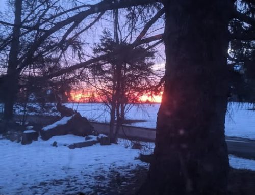 Poem by Susan Isla Tepper