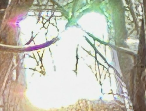 Poem by David Anson Lee